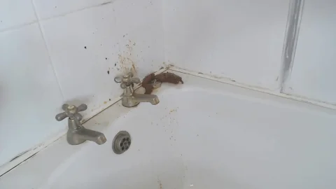 My First Enema Explosive 2019, Scatshop.com, Scat, Solo, Enema, 1080p, CamRip