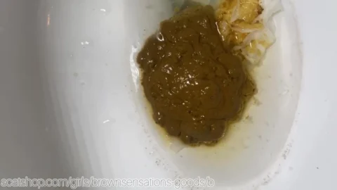 Extended Version — Brownsensations – Doggy solid with 3 toilet blowouts shit scat poop shitting