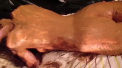 Filthy, Sexy, Unimaginable. Part 1 of 5 2019, ScatShop, lesbian, new scat, big pile, 720p