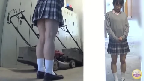 SL-105 家庭内隠撮 不測の事態！トイレ足止めおしっこ漏らし 116分 スカトロ Voyeur Pissing
