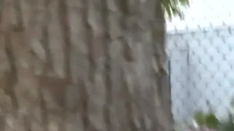 F15-12 野外隠撮　立ちション現場　膀胱パンッパン切羽詰った女達 フィルス Scenes of Peeing