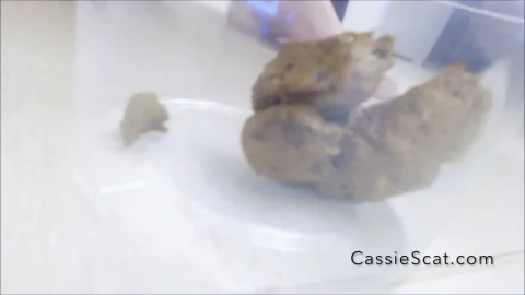 CassieScat – Slow, Constipated Birthing Position Shit — Complete Footage Uncut