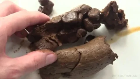 sdDirtymaryDirtyMaryan – Pooping and showing texture of my shit2