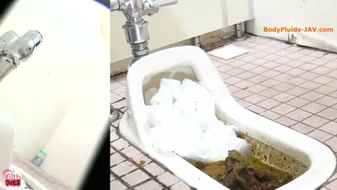 FF-260 Toilet spy camera shit girls, that does not flush. (HD 1080p)