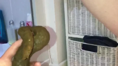 Wastedwetness – Wifes Huge Surprise Shit 2021, ScatShop, Pee, Scat, Poop Videos, 1920p
