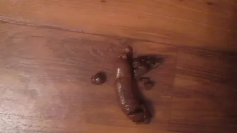 OOPS! Poop on bathroom floor and then squatting to pee over the toilet 2020, ScatShop, solo scat