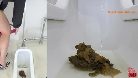BFFF-157 Spycam filming shitting girls in public toilet. (HD 1080p)