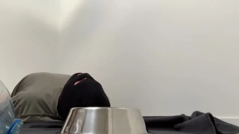 kinkycat – Doggo 2020, ScatShop, hd, shit, amateur, 1080p, SiteRip | Full Video