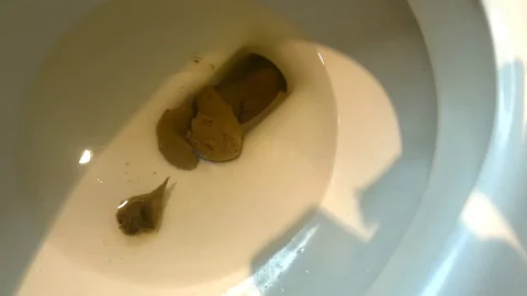 Full Clip — gassy – Treat Shipment plus 3 toilet vids